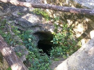 La entrada del cenote es estrecha, abajo es muy amplio