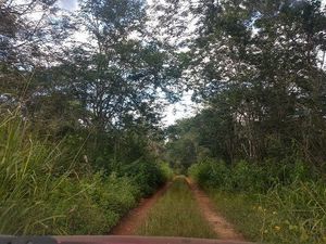 Camino de acceso, apto para cualquier vehículo