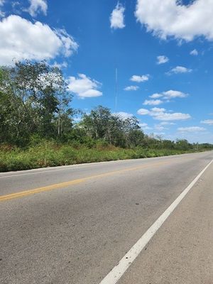 Vista del frente del terreno