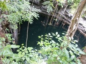 Cenote abierto, mas de 28 mts de diámetro
