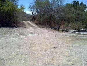 Terreno con casa y alberca en Uninajab la mejor zona 1 hectárea