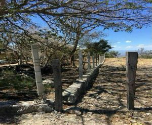 Terreno con casa y alberca en Uninajab la mejor zona 1 hectárea