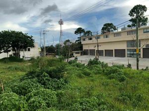 Terreno  comercial en zona altamente poblada en Comitan.