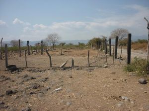 Terreno Urbano en Pueblo Viejo, Temixco, Morelos CAEN-47-Tu