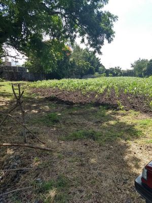 Terreno Urbano en Campo el Marqués, Yautepec, Morelos CAEN-Er-737-Tu