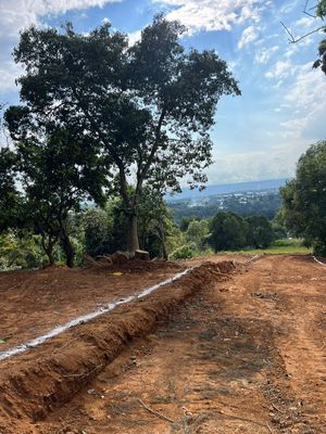 Terreno en venta en Tenancingo Edo de Mexico