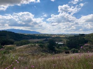 Terreno  con 5 minas, en venta en Aculco, Edo. de México