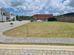 Terreno en venta en puebla lomas de angelopolis parque chiapas esquina