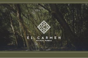 Terreno en venta Atlixco Puebla en Fraccionamiento el Carmen
