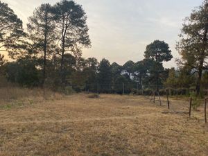 Terreno en venta en Cerro Colorado, Valle de Bravo