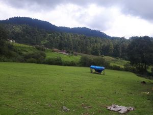 Terreno en venta en los Saúcos, Valle de Bravo.