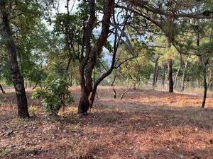 Terreno en venta en el Predregal, Avandaro