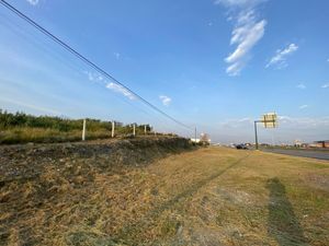 Terreno en renta, Blvd Miguel de la Madrid 100 m de frente