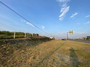 Terreno en renta frente a Avenida, Blvd Miguel de la Madrid 100 m de frente