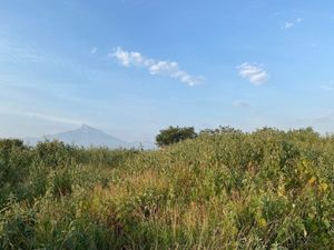 Terreno en renta, Blvd Miguel de la Madrid 100 m de frente