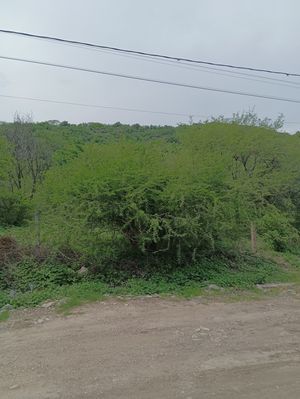 Venta Terreno San José de Jorge López camino a Villas de Irapuato