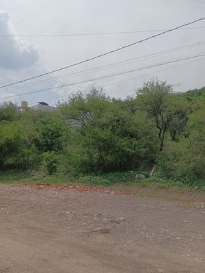 Venta Terreno San José de Jorge López camino a Villas de Irapuato