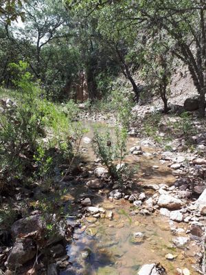 Terreno San Martín de Terreros