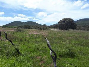 Terreno San Martín de Terreros