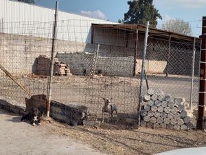 Terreno en Av. San Cayetano Irapuato