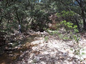 Terreno San Martín de Terreros