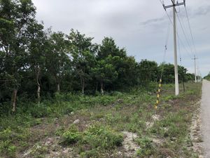 Terreno de  46has, smza 106, Cancún, Q. Roo.