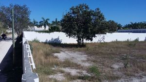 TERRENO BARDEADO EN  ZONA COLEGIOS, CANCÚN, Q. ROO. CH13.