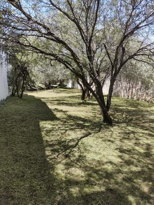 Lote Campanario en venta, Los Frailes, San Miguel de Allende