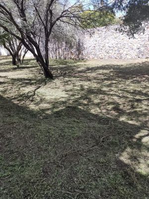 Lote Campanario en venta, Los Frailes, San Miguel de Allende