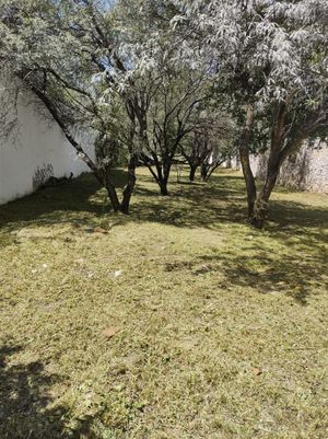 Lote Campanario en venta, Los Frailes, San Miguel de Allende