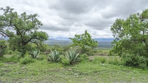 Terreno Vista Hermosa en venta, Camino Dr. Mora, San Miguel de Allende