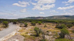 Lote La Caridad en venta, Palo Colorado, San Miguel de Allende