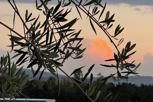 Casa Carolina en venta, Club de Golf Malanquin, San Miguel de Allende