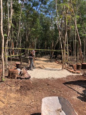 Venta de terrenos ruta de los Cenotes. Puerto Morelos, Quintana Roo. SP