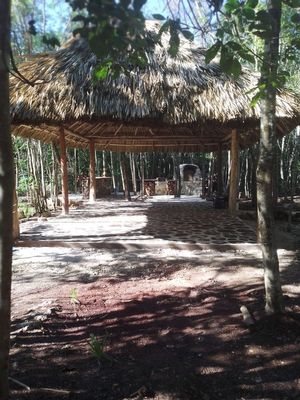 Venta de terrenos ruta de los Cenotes. Puerto Morelos, Quintana Roo. SP