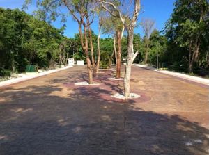 Terreno en venta en Puerto Morelos Aldea Kiiin