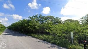 3 Terrenos en venta en Dzemul, Yucatán.