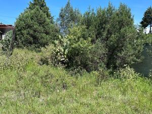 Terreno  en Venta en Tlaxcala Atlihuetzia