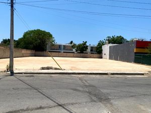 Terreno en Venta en Sodzil Norte, junto a un Oxxo