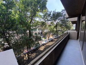 VENTA DEPARTAMENTO POLANCO CON BALCON REMODELADO