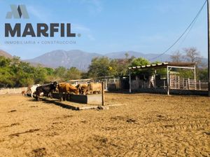 Rancho en Venta para Agricultura o Ganadería en Juluapan, Colima