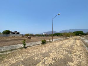 Terreno Campestre en Venta Comala Colima