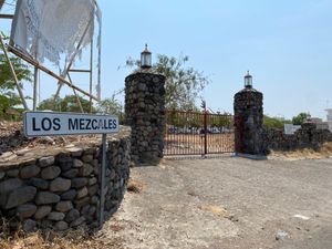 Terreno Campestre en Venta Comala Colima