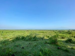 100 Hectáreas Planas en Venta en Colima cerca de la Cumbre