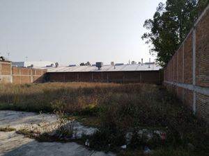 Terreno en renta en Blvd. Alfredo del Mazo, Toluca Edo. de México.