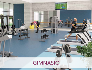 Gimnasio