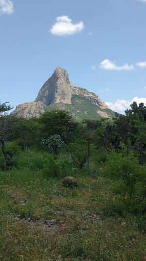 TERRENO PANORÁMICO 2Ha EN PUEBLO MÁGICO  DE BERNAL, QRO. P/INVERSIONISTA