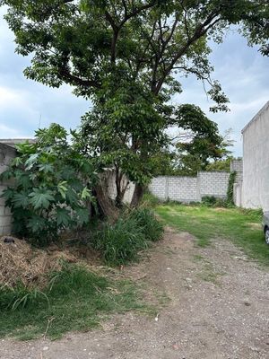 Terreno en Col. Granjas, Privada con Portón