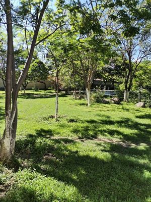 Quinta Ecuestre al Sur de Cuernavaca, Alpuyeca, Morelos