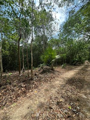 Venta de terreno en Puerto Morelos, Quintana Roo